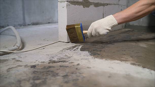 SJ Waterproofing Pros Waterproofing coverage map for Mount Olive, NC and surrounding area